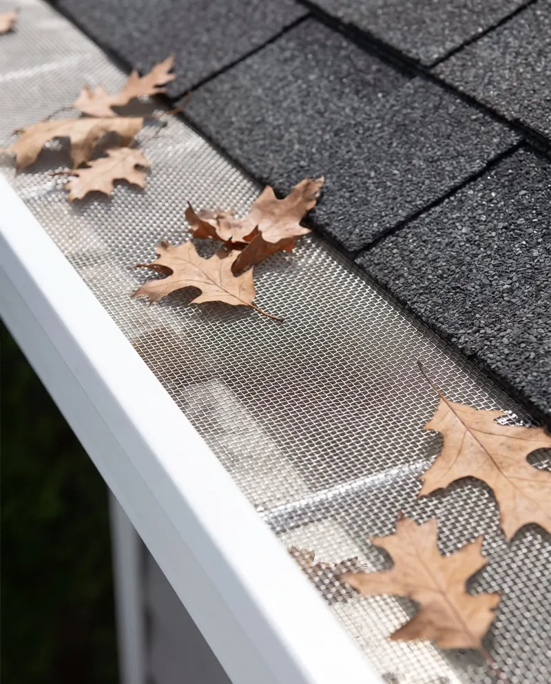 White seamless gutter with a micro-mesh gutter guard holding leaves on top