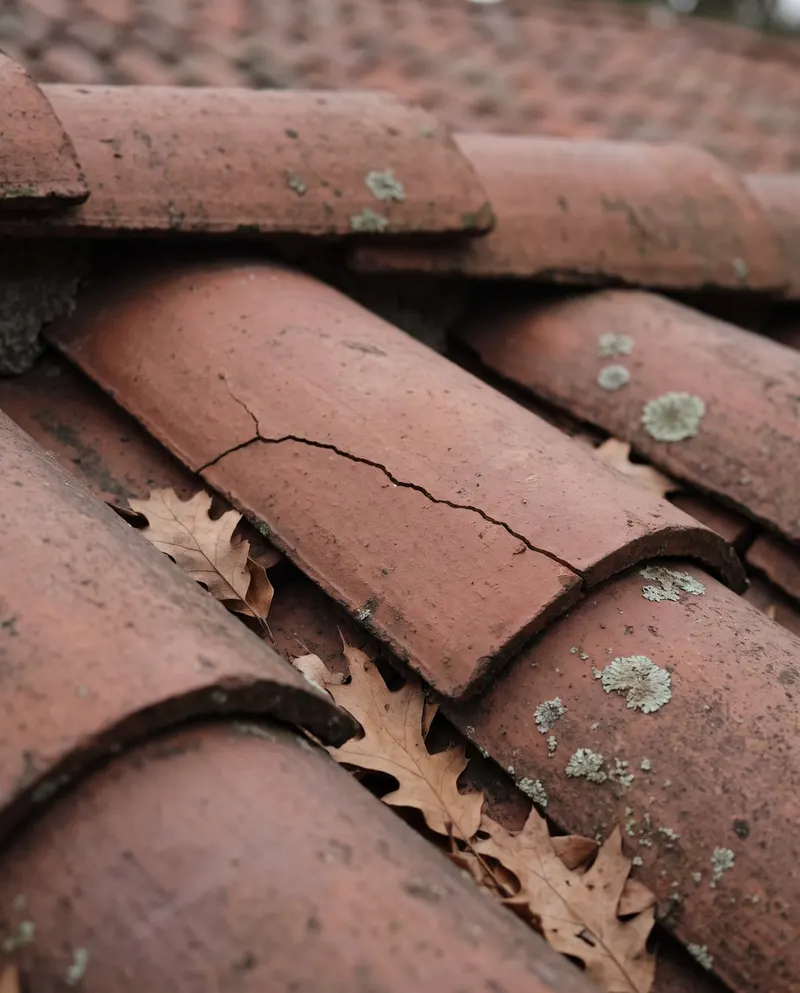 Close-up of a cracked clay barrel tile with lichen and leaves between tiles